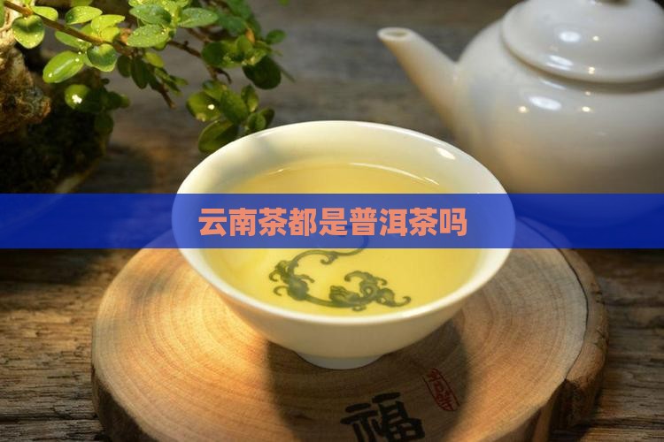 云南茶都是普洱茶吗