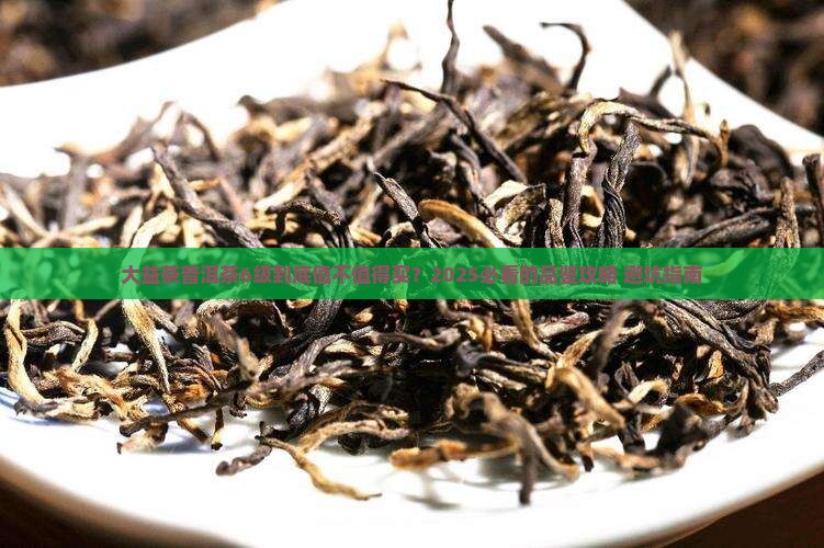 大益茶普洱茶6级