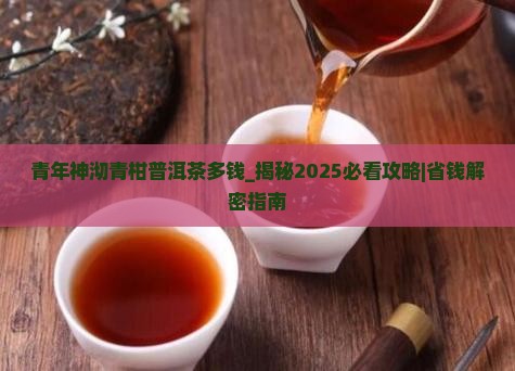 青年神沏青柑普洱茶多钱
