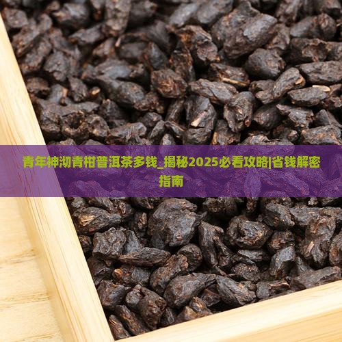 青年神沏青柑普洱茶多钱