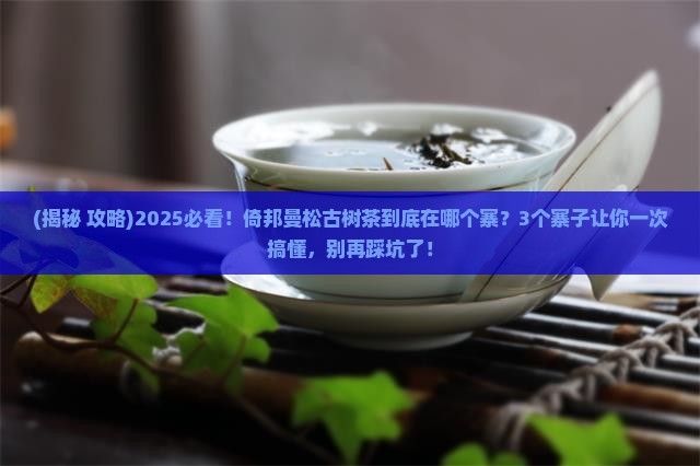 倚邦曼松古树茶在哪个寨