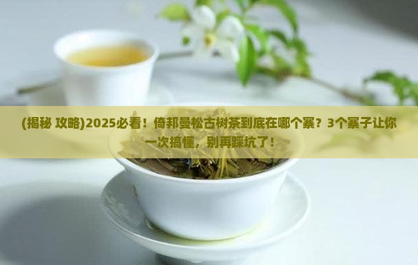 倚邦曼松古树茶在哪个寨