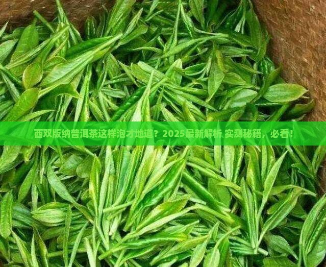 西双版纳怎么泡普洱茶