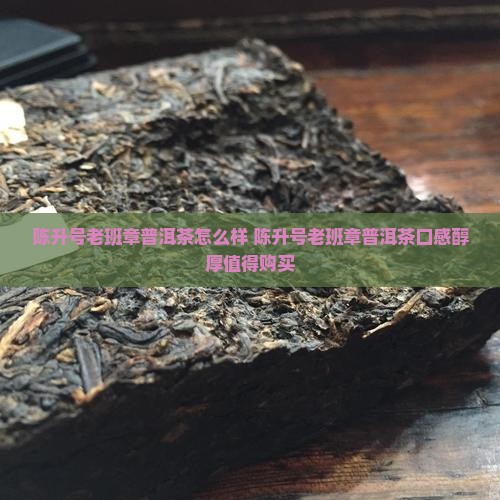 陈升号老班章普洱茶怎么样
