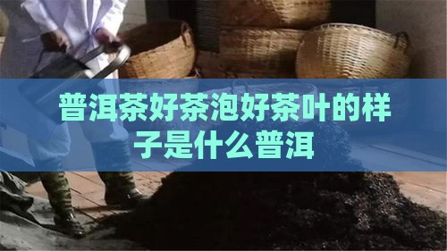 普洱茶泡好茶叶的样子是什么