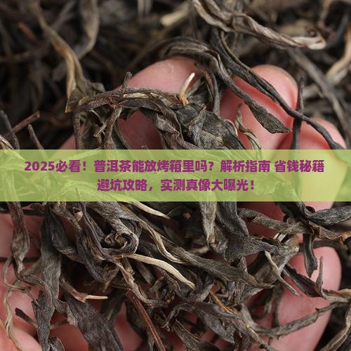 普洱茶可以放烤箱里吗