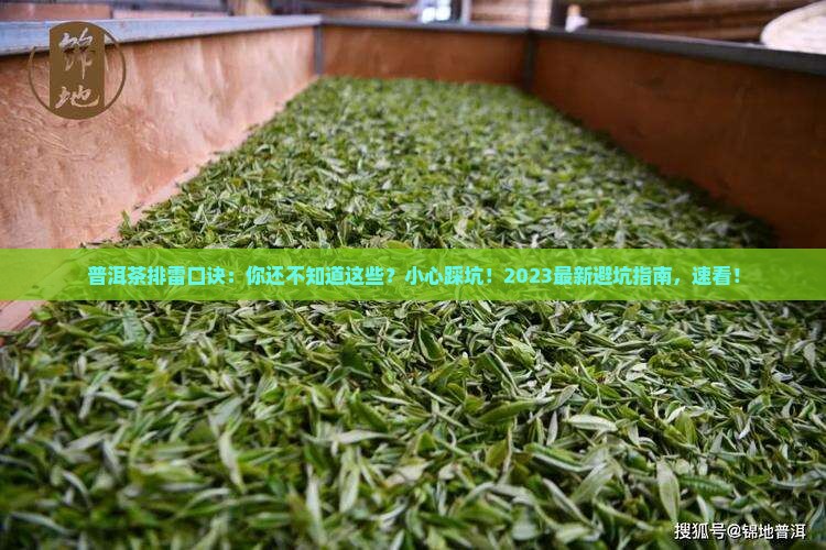 普洱茶排雷口诀