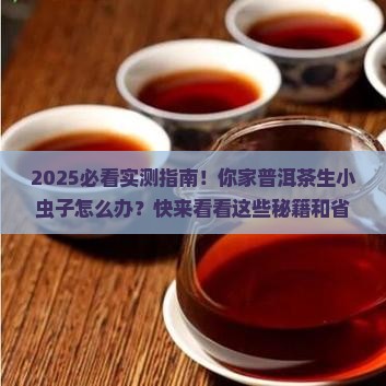 普洱茶怎么生小虫子