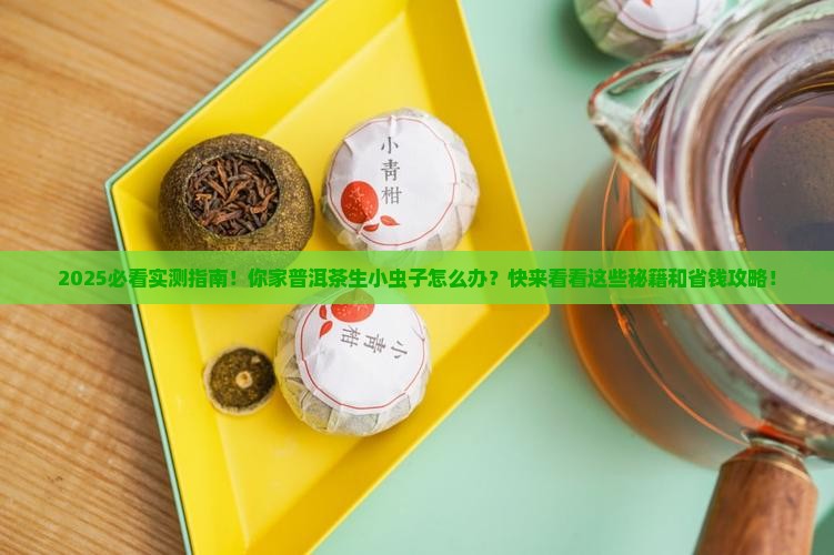 普洱茶怎么生小虫子