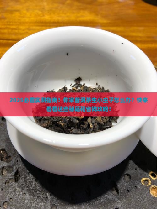 普洱茶怎么生小虫子