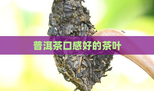普洱茶口感好的茶叶