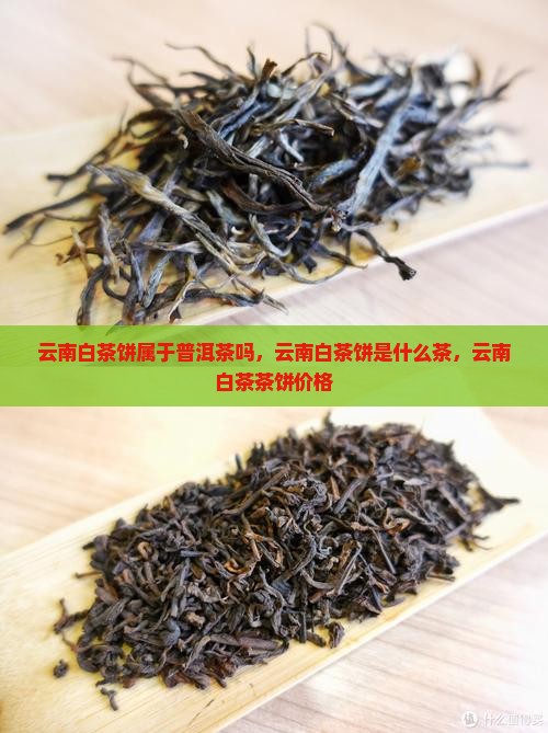 云南白茶饼属于普洱茶吗