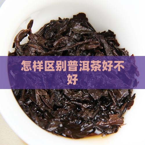 怎么区别普洱茶好不好