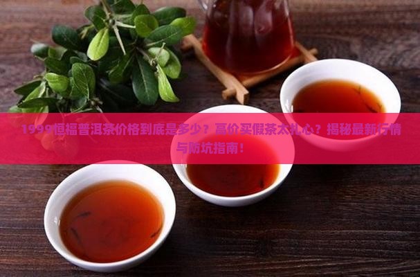 1999恒福普洱茶价格