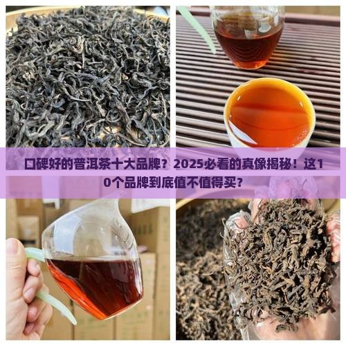 口碑好的普洱茶十大品牌