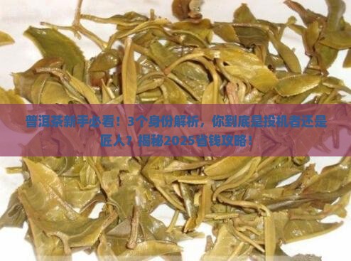 普洱茶投机者和匠人