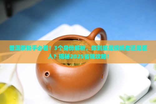 普洱茶投机者和匠人