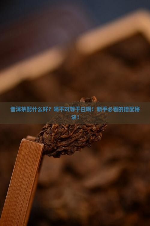 普洱茶配什么好