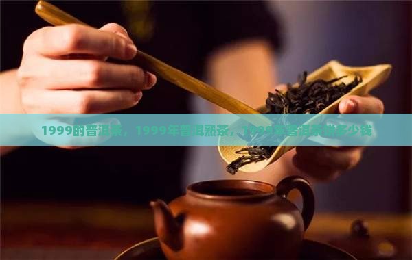 1999的普洱茶