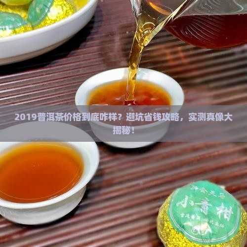2019普洱茶价格走势