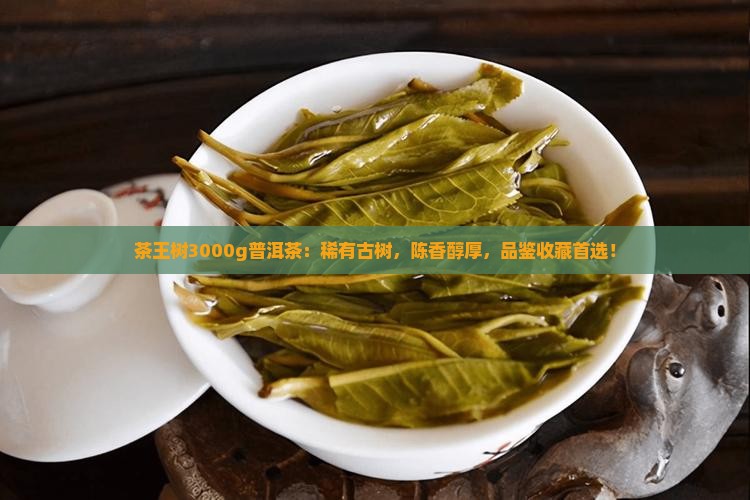 茶王树3000g普洱茶
