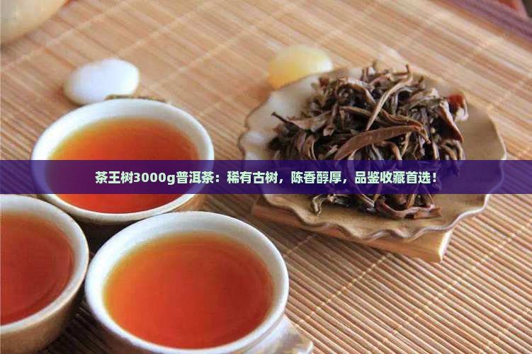 茶王树3000g普洱茶