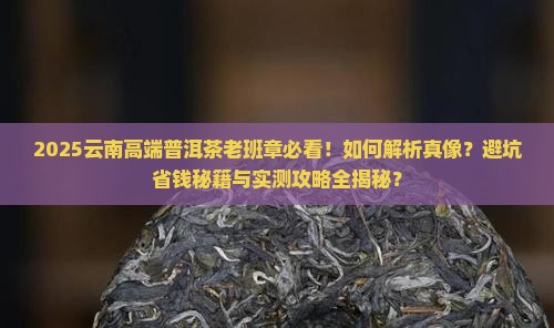 云南高端普洱茶老班章