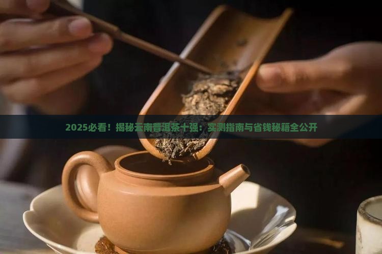 2018云南普洱茶十强
