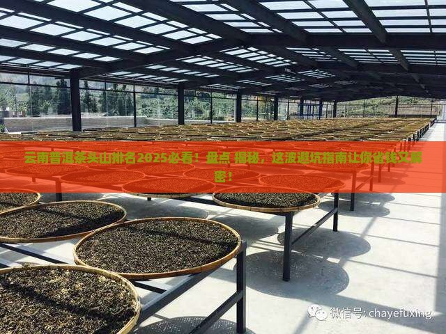 云南普洱茶头山排名