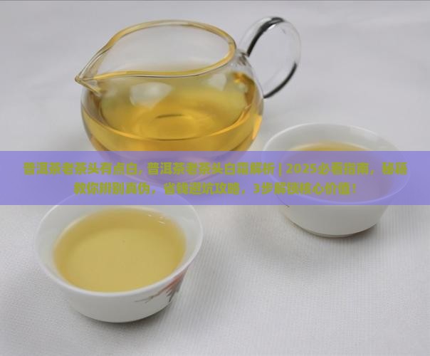 普洱茶老茶头有点白