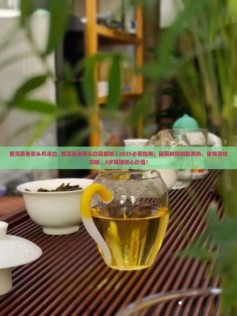 普洱茶老茶头有点白
