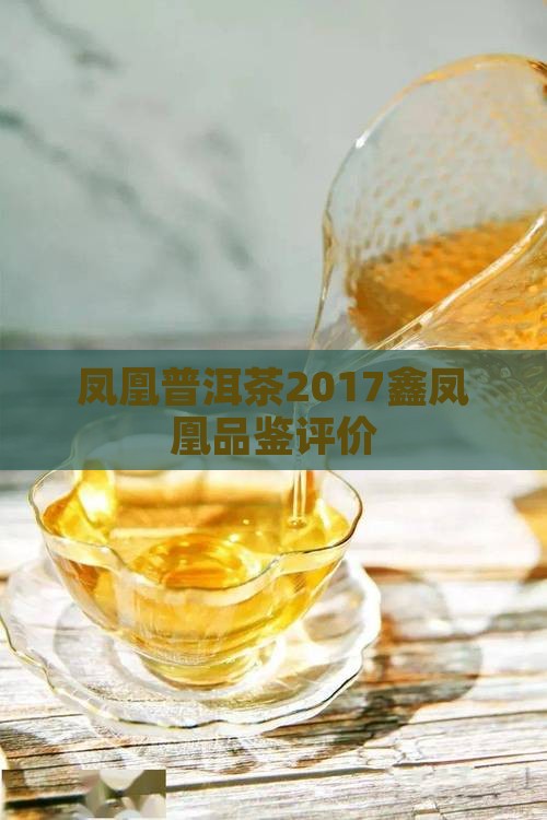 2017鑫凤凰普洱茶怎么样