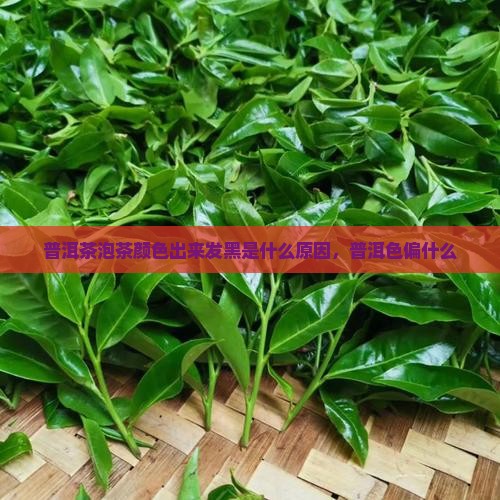 普洱茶泡茶色偏黑是什么