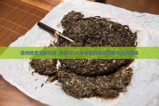 扬州熟普洱茶代理
