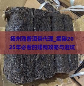 扬州熟普洱茶代理