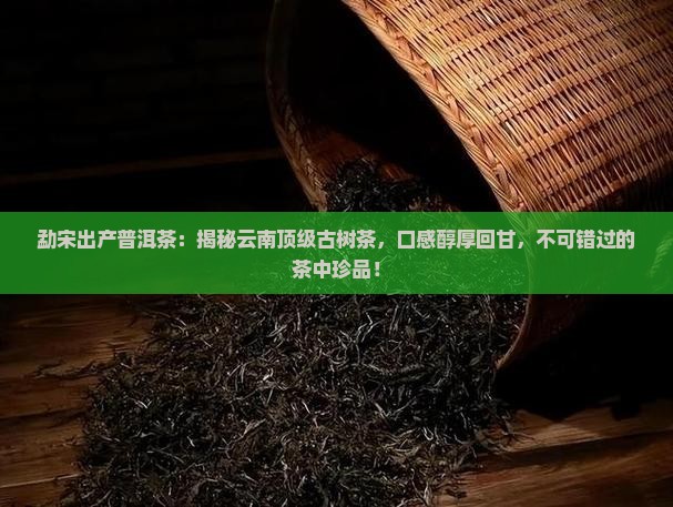 勐宋出产普洱茶