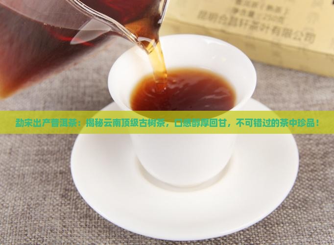 勐宋出产普洱茶