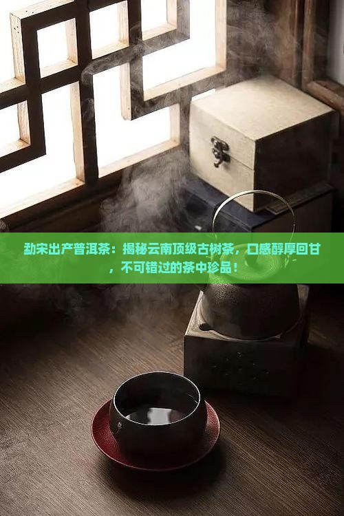 勐宋出产普洱茶
