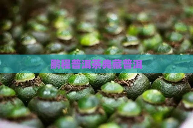 鹏程典藏普洱茶