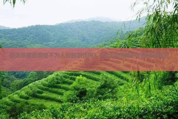 普洱茶有没有副作用吗