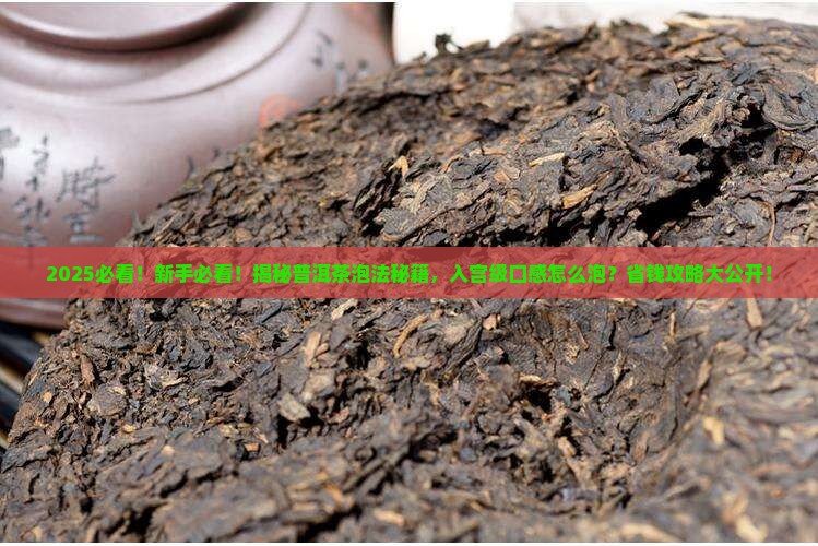 普洱茶泡法普洱入宫