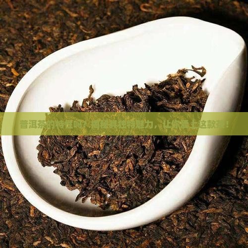 普洱茶的特性吗