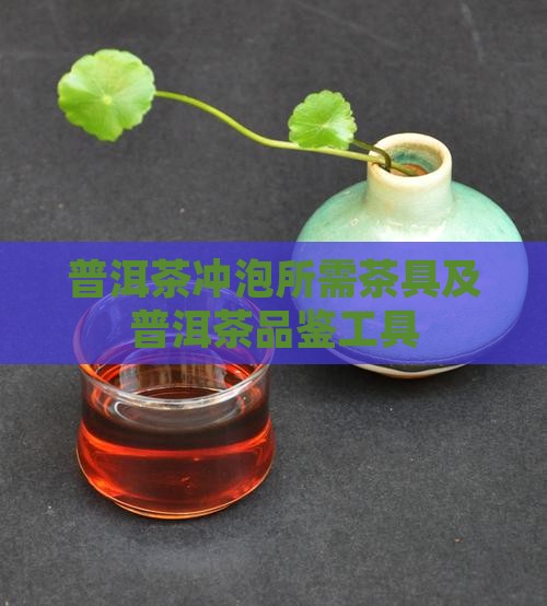喝普洱茶都需要什么工具