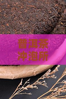 喝普洱茶都需要什么工具