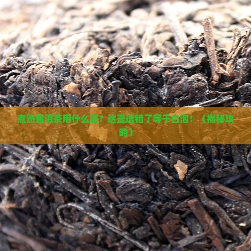 煮熟普洱茶用什么壶