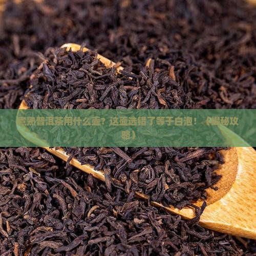 煮熟普洱茶用什么壶
