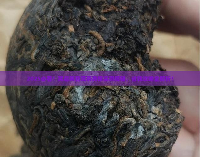 吴启英的普洱茶