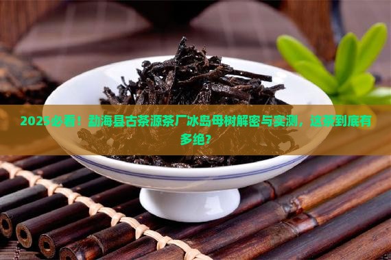 勐海县古茶源茶厂冰岛母树