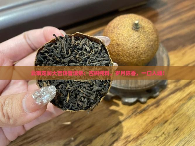 云南龙润大吉饼普洱茶