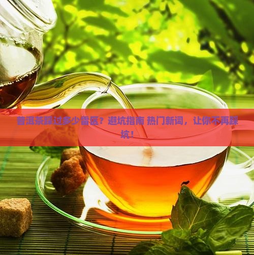 普洱茶踩过多少雷区